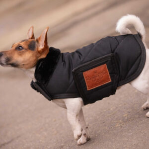 PADDOCK - Diagonal - Dog rug