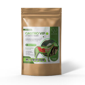 HORSYD Supplement for horses for digestive support GASTRO VIP, 3 kg