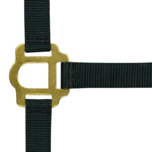 RIDING WORLD Halfter