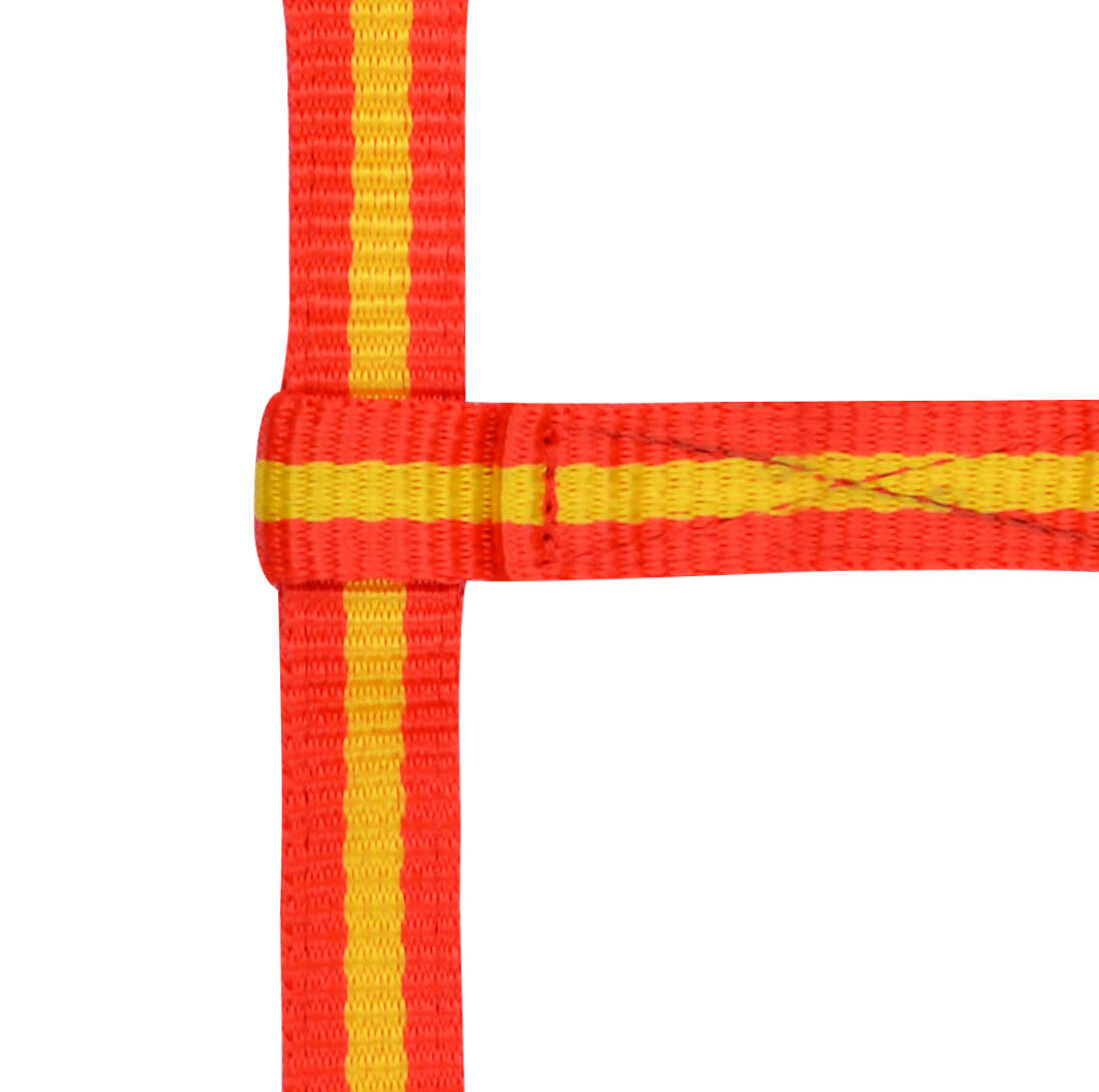 NORTON Adjustable Foal Halter - Image 2