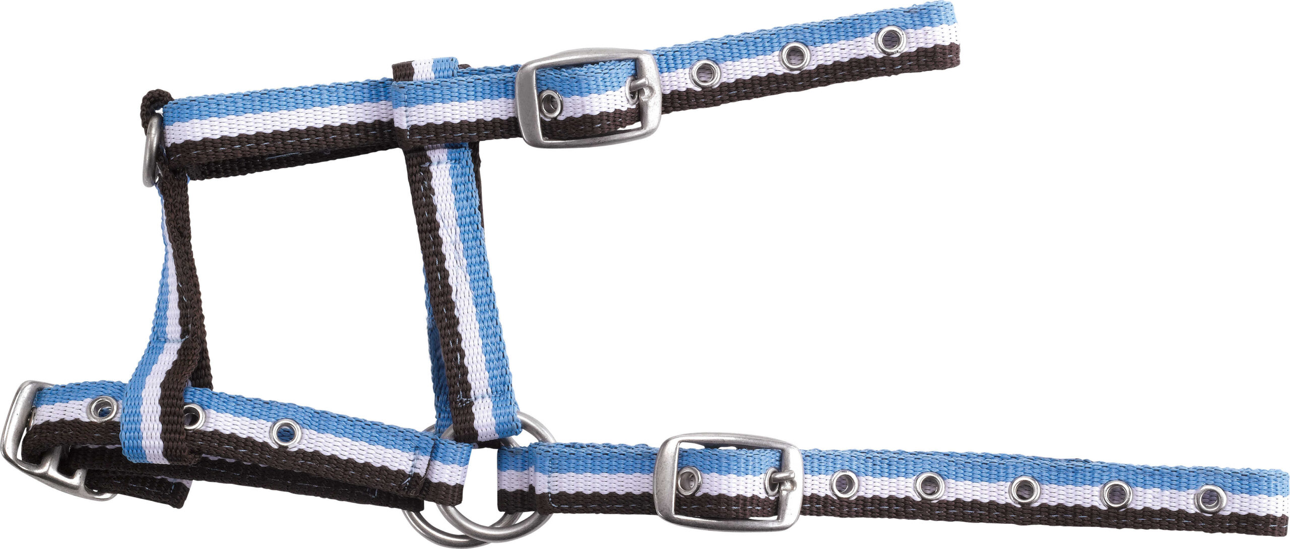 NORTON Adjustable Foal Halter - Image 3