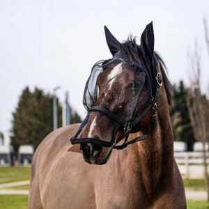 EQUITHÈME halter + anti-fly mask protection against UV rays