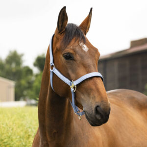 EQUITHÈME halter “Air”