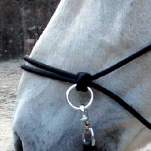 NORTON rope halter with reins