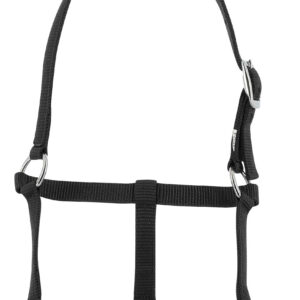 RIDING WORLD Fohlenhalfter
