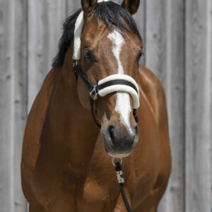 RIDING WORLD synthetic sheep halter