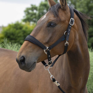 Halter and lead rope NORTON - Large