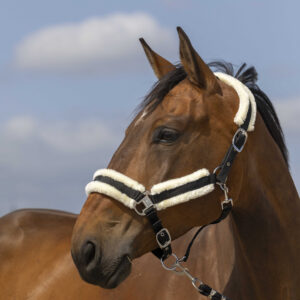 EQUITHÈME Halter - Nylon sheepskin