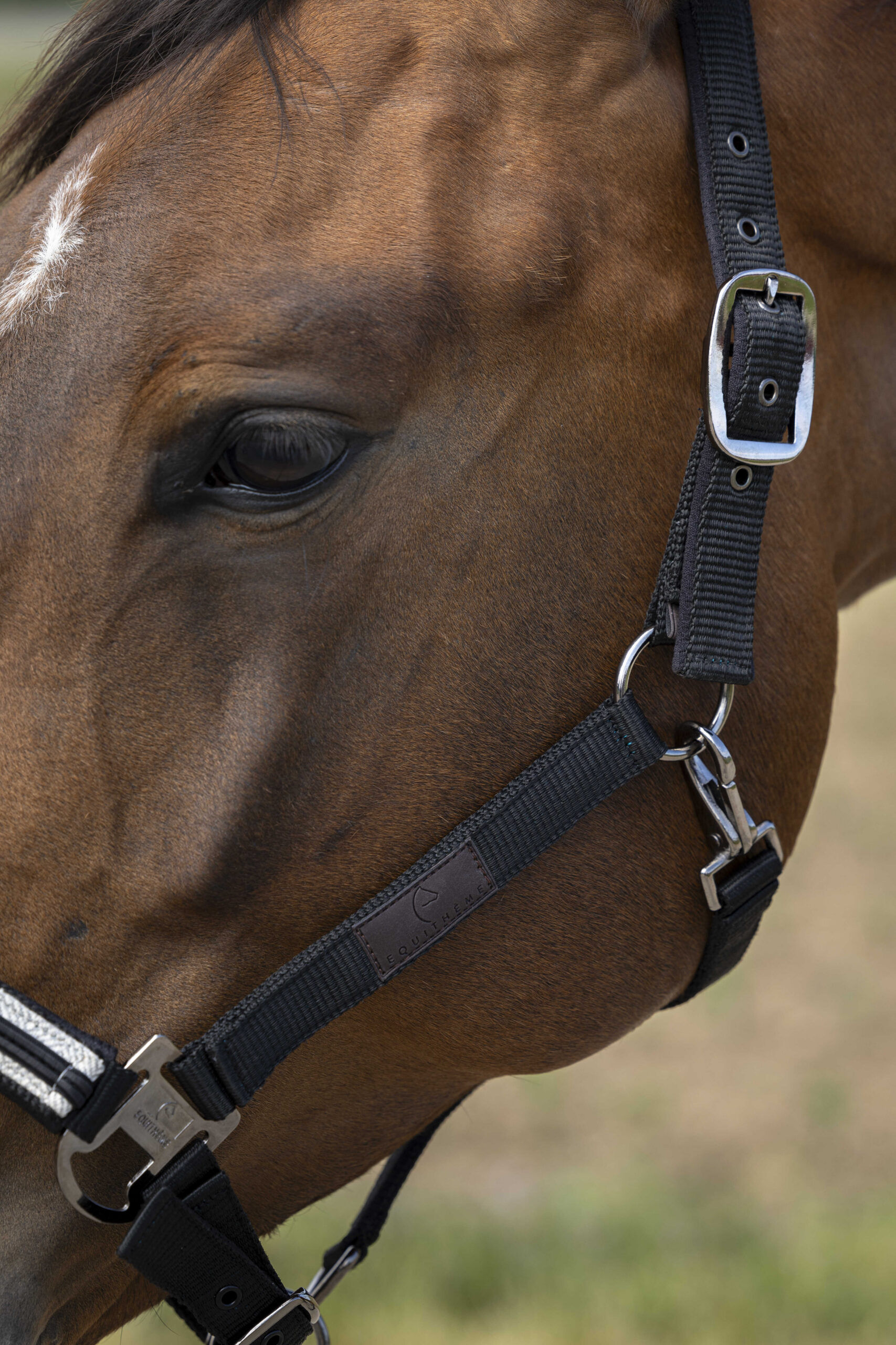 EQUITHÈME Halfter - Nylon Chevron - Image 3