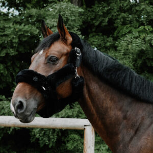 EQUITHÈME Je t'aime Halter – Snuggy