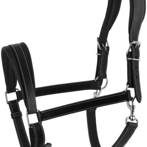 Halfter NORTON - Ardennes