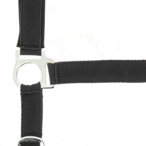 Nylon halter NORTON - Lined with neoprene