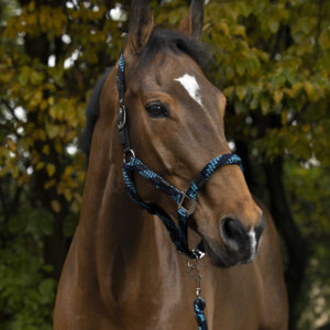 EQUITHÈME Halter + Lead rope set - Braided