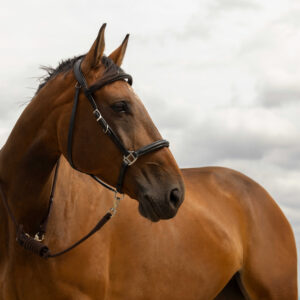 NORTON tie-up rope - Rando