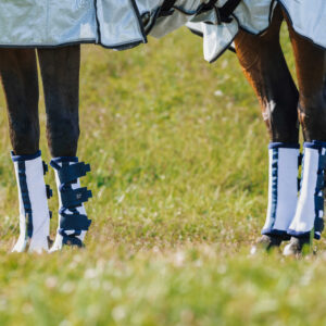 RIDING WORLD Fly Protection Boots x 6