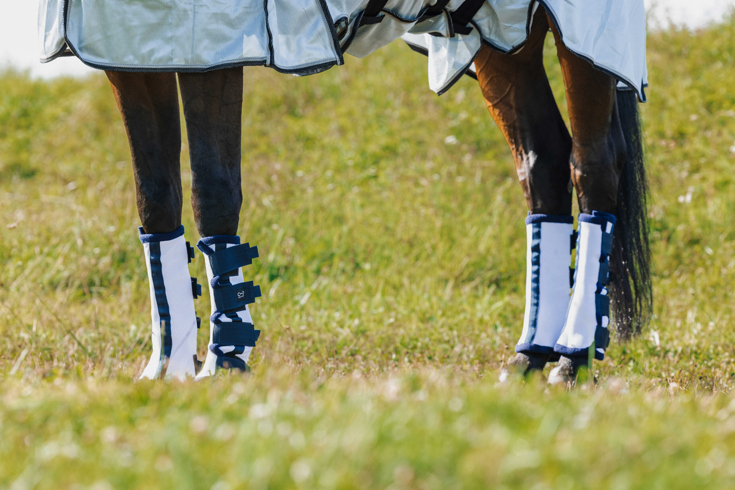 RIDING WORLD Fly Protection Boots x 6