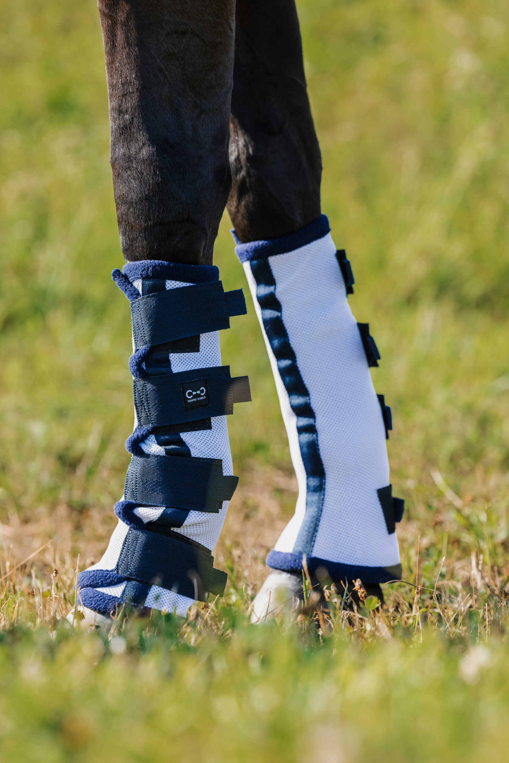 RIDING WORLD Fly Protection Boots x 6 - Image 3