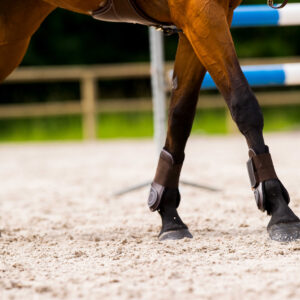 NORTON “Synthetic” fetlock boots with double shell