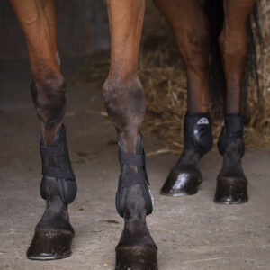Fetlock boots NORTON - XTR