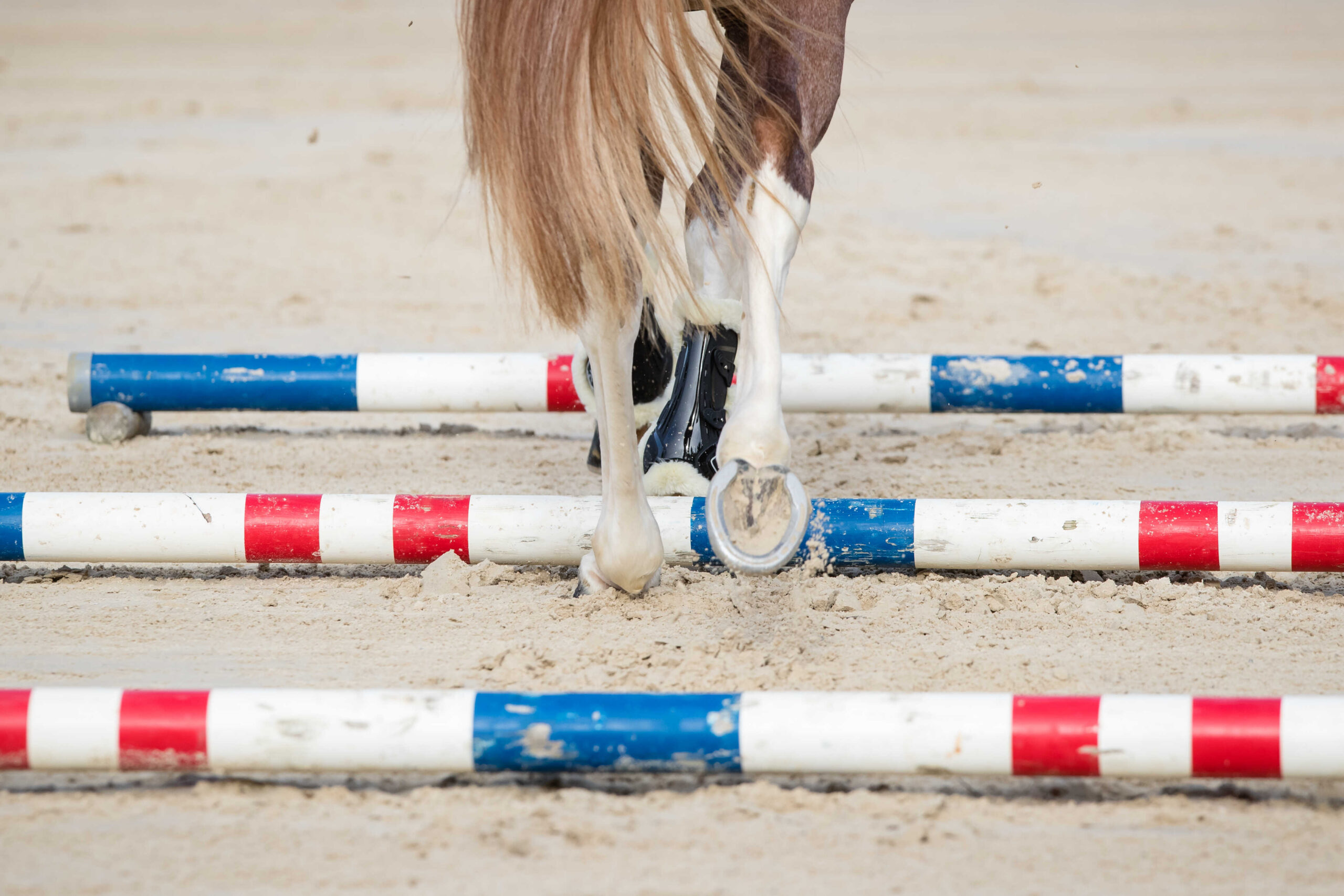 Gaiters NORTON - XTR with button closure Synthetic lambskin - Image 17