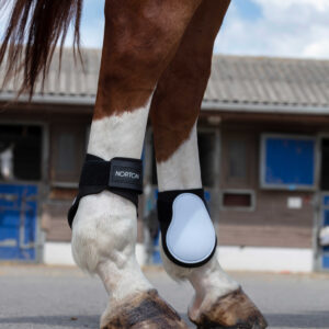 NORTON Fetlock Boots