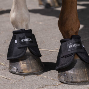 Bells NORTON - 2520 D