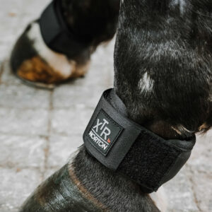 Protège paturon NORTON - XTR Gel