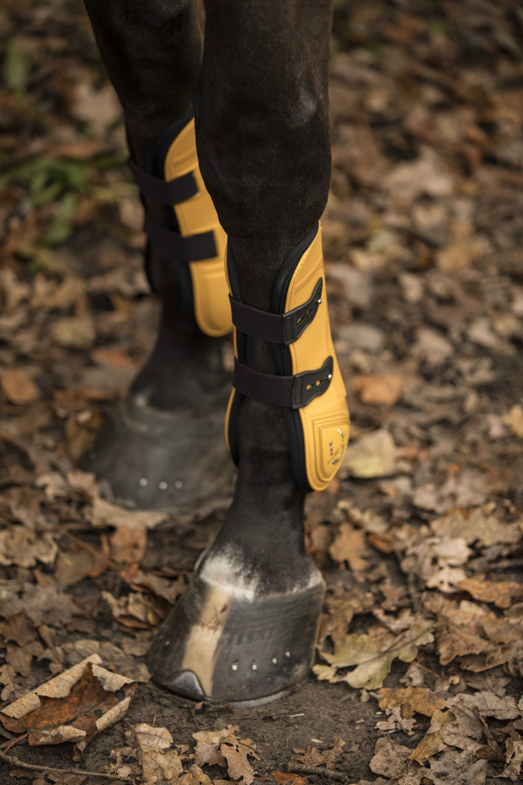 Lami-CELL Tendon Boots and Fetlock Boots Set LC - Image 6