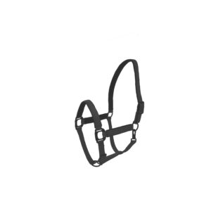 Halfter LAMI-CELL - Charming