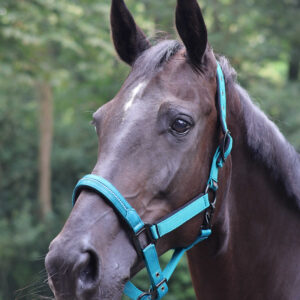 LAMI-CELL tie-up rope - Charming