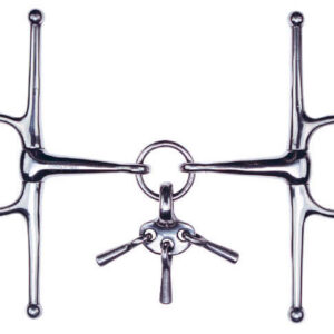 FEELING Gag Bit - With Player