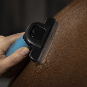 HIPPOTONIC – Shedding Comb – Gel