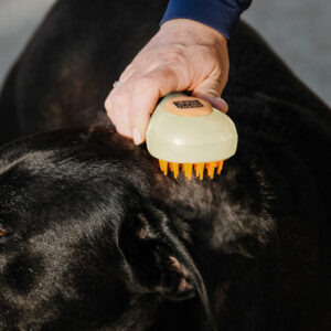 HIPPOTONIC - Vapeur - Curry Comb