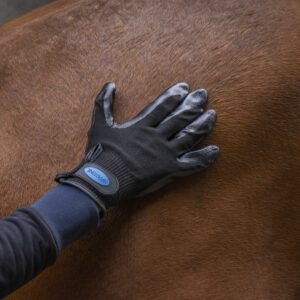 HIPPOTONIC coat change grooming gloves