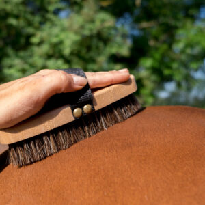 HIPPOTONIC Extra soft brush