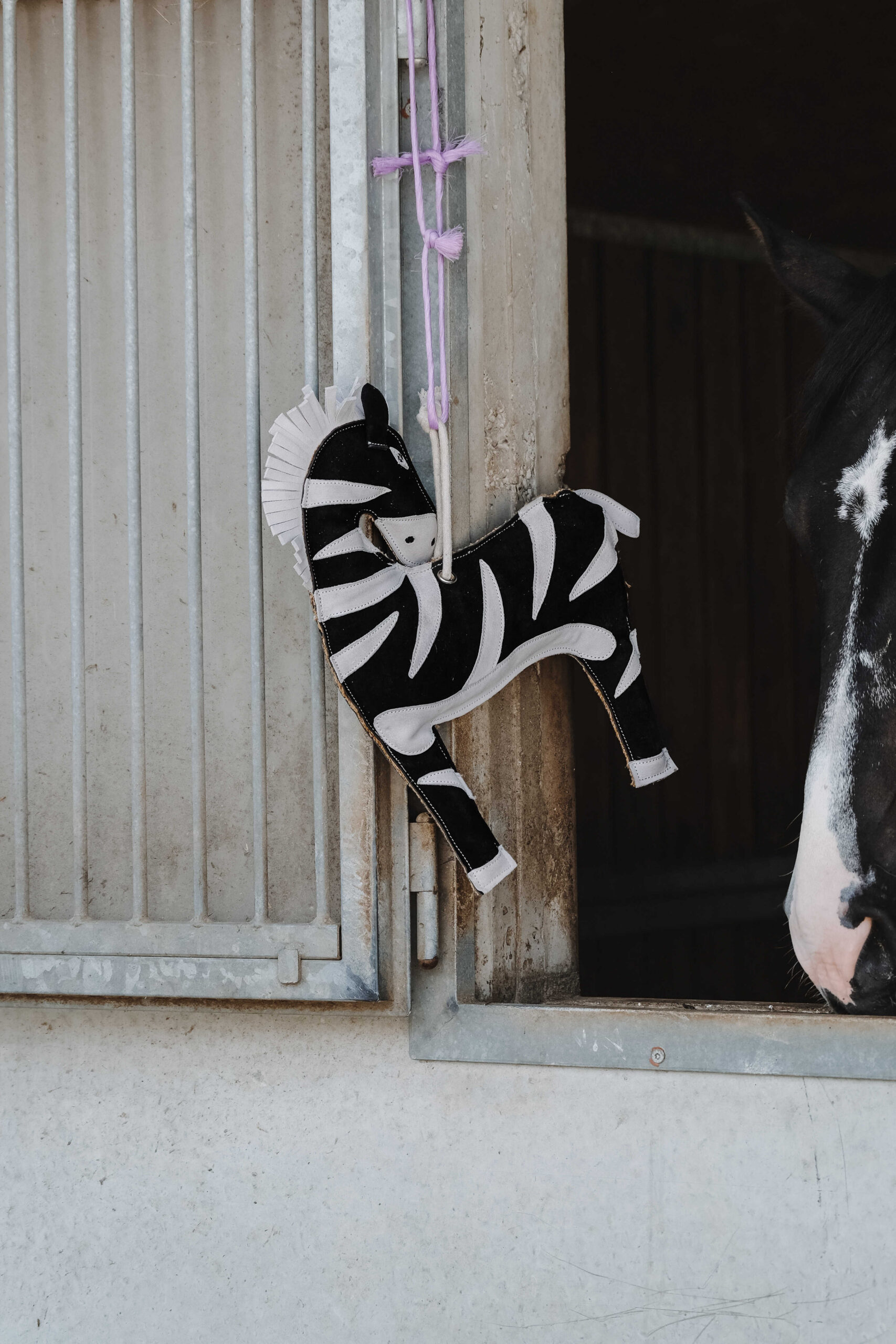 HIPPOTONIC - Zèbre - Toys for horses