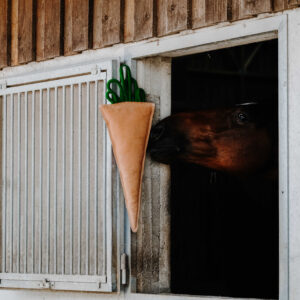 HIPPOTONIC - Carrot - Toy for horses