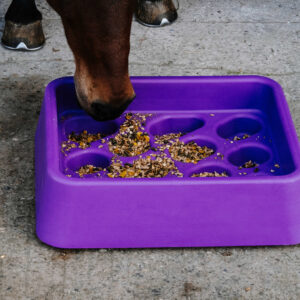 HIPPOTONIC anti-fratt feeding bucket