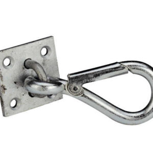 Snap hook on the wall plate