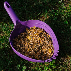 HIPPOTONIC - Shark - Feeding Scoop