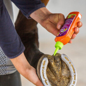 EQUINATURA Frog Protection