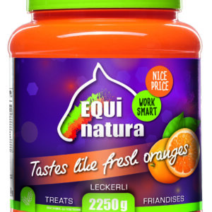 EQUINATURA Orange Scented Treats