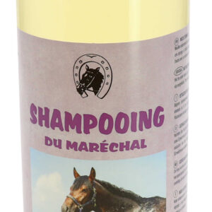 Lemongrass Shampoo ODM
