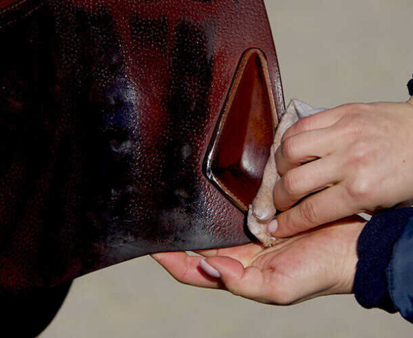 Cow Foot Oil ODM - Image 3