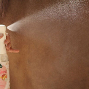 RAVENE Easy Shine Intensiv