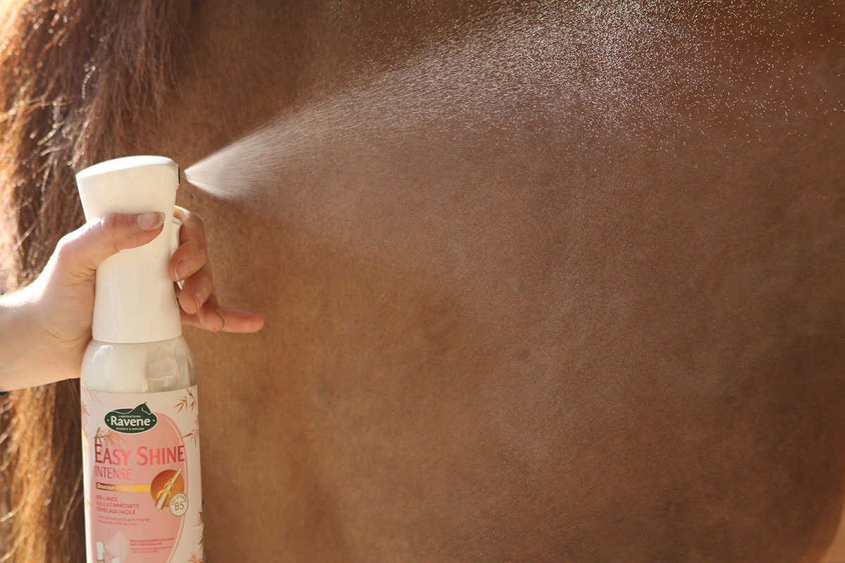 RAVENE Easy Shine Intensiv