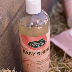 RAVENE Easy Shine Shampoo