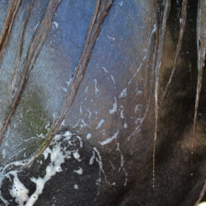 RAVENE Easy Shine Grau