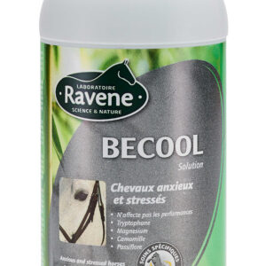 RAVENE Becool