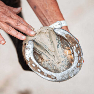 Hoof clay RAVENE - Pediplaste